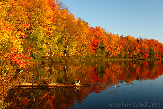 Autumn Colors - Michigan Landscape Photography